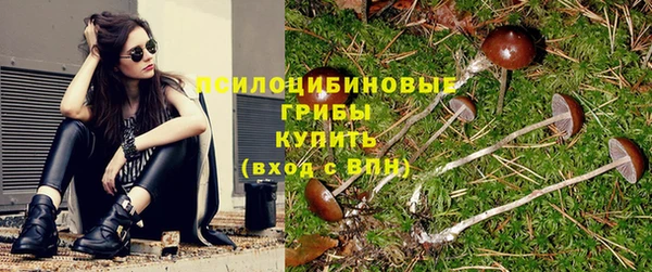 соль курить ск Козловка