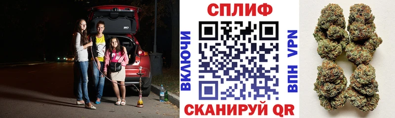Конопля сатива  Купить закладки  Глазов 